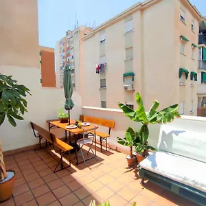 Manuela Nogales Apartments! Apartment